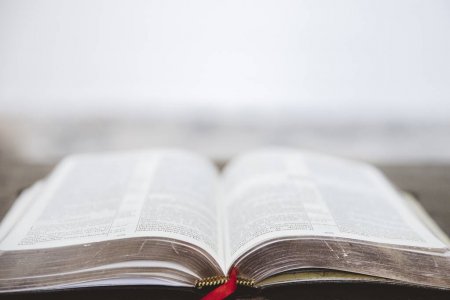 May 8 Scripture Reading